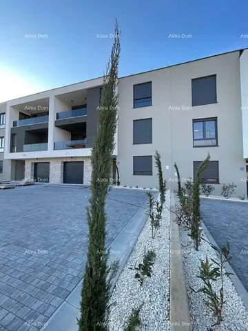 Cuisine; électroménager, parquet, lumière naturelle, style moderne