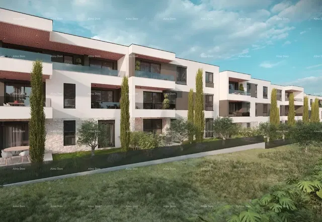 Salon; parquet, lumière naturelle, style moderne