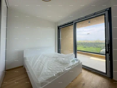 Kitchen; kitchen appliances, wood floor, natural light, modern style