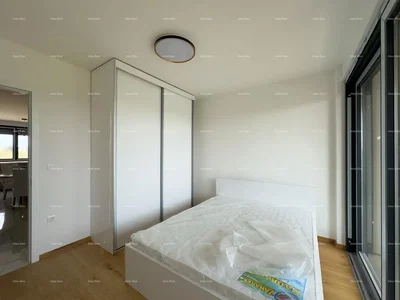 Living room; wood floor, natural light, modern style