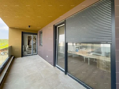Living room; wood floor, natural light, modern style