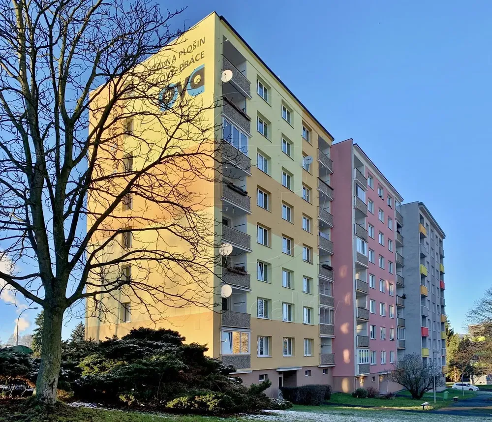 Дневна соба; дрвени под, природно светло, модерни стил, високи плафони