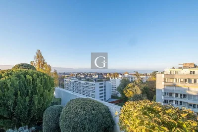 Küche; küchengeräte, holzboden, tageslicht, moderner stil