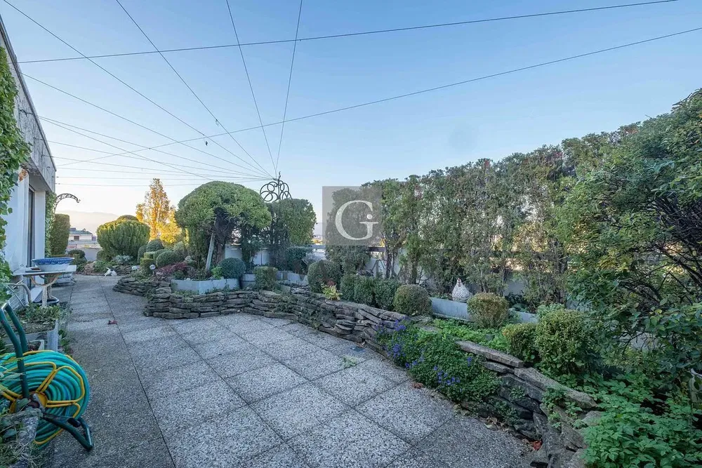 Kitchen; kitchen appliances, wood floor, natural light, modern style