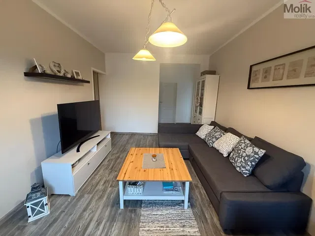 Хол; дървен под, естествена светлина, модерен стил