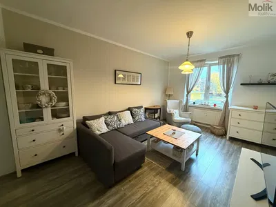 Хол; дървен под, естествена светлина, модерен стил