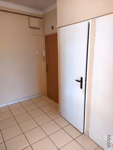 Хол; дървен под, естествена светлина, модерен стил