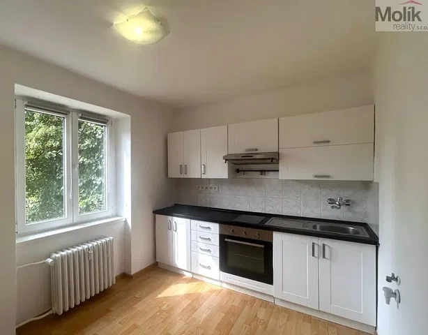 Wohnzimmer; holzboden, tageslicht, moderner stil, hohe decken