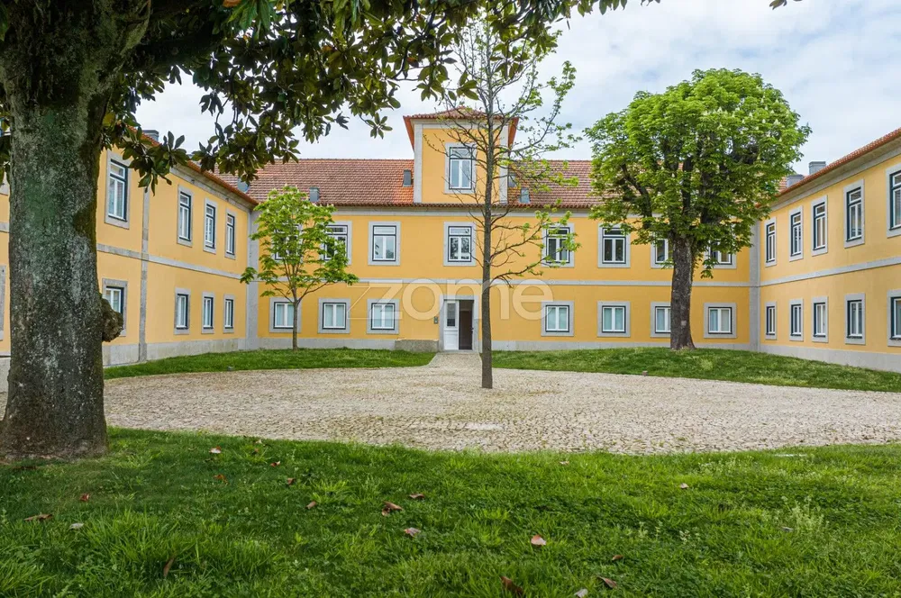 Küche; küchengeräte, holzboden, tageslicht, moderner stil