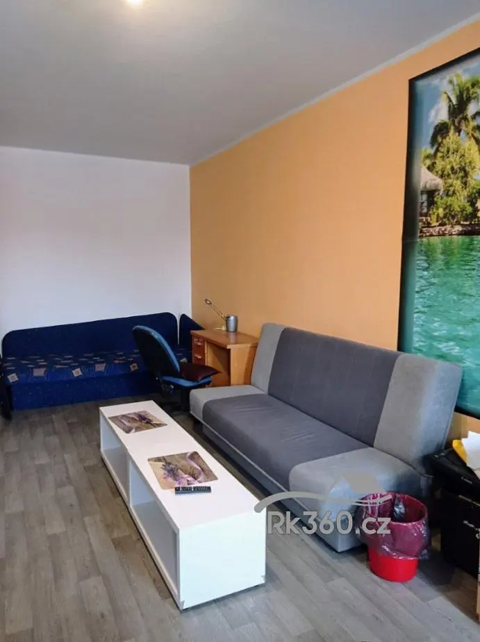 Dnevni boravak; drveni pod, prirodna svjetlost, moderan stil