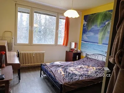 Dnevni boravak; drveni pod, prirodna svjetlost, moderan stil