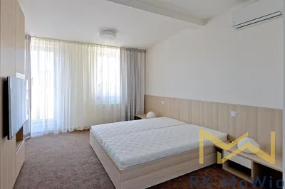 Living room; wood floor, natural light, modern style