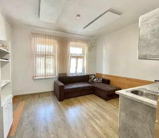 Living room; wood floor, natural light, modern style
