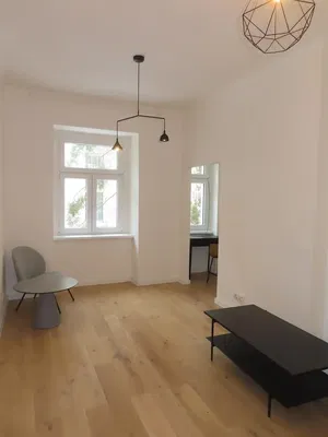 Living room; wood floor, natural light, modern style