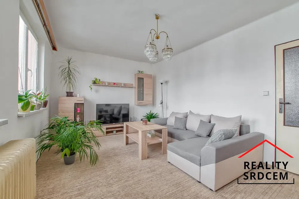 Obývací pokoj; dřevěná podlaha, přirozené světlo, moderní styl