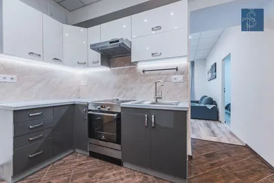 Kuchyně; kuchyňské spotřebiče, dřevěná podlaha, přirozené světlo, moderní styl