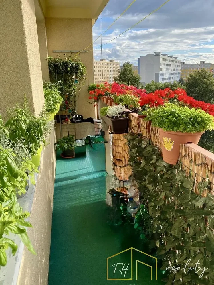 Σαλόνι; ξύλινο πάτωμα, φυσικό φως, μοντέρνο στυλ