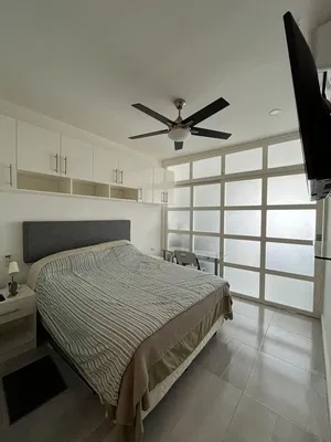 Cucina; elettrodomestici, pavimento in legno, luce naturale, stile moderno