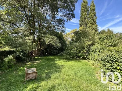 Küche; küchengeräte, holzboden, tageslicht, moderner stil