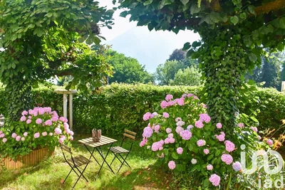 Mutfak; mutfak aletleri, ahşap zemin, doğal ışık, modern stil