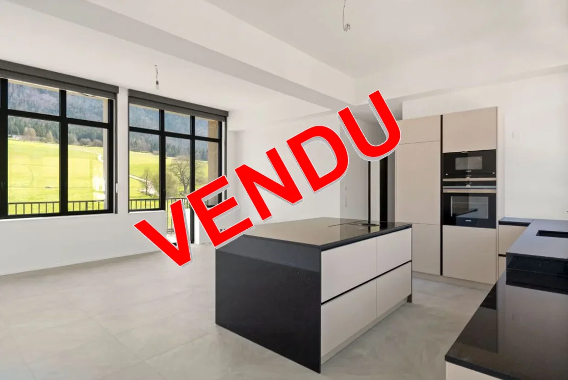 Cuisine; électroménager, parquet, lumière naturelle, style moderne