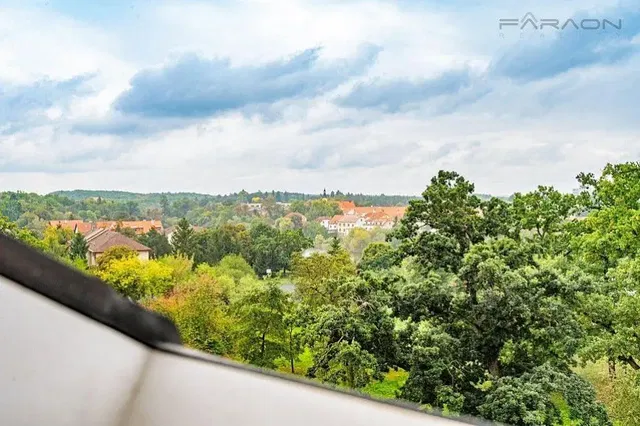 Living room; wood floor, natural light, modern style