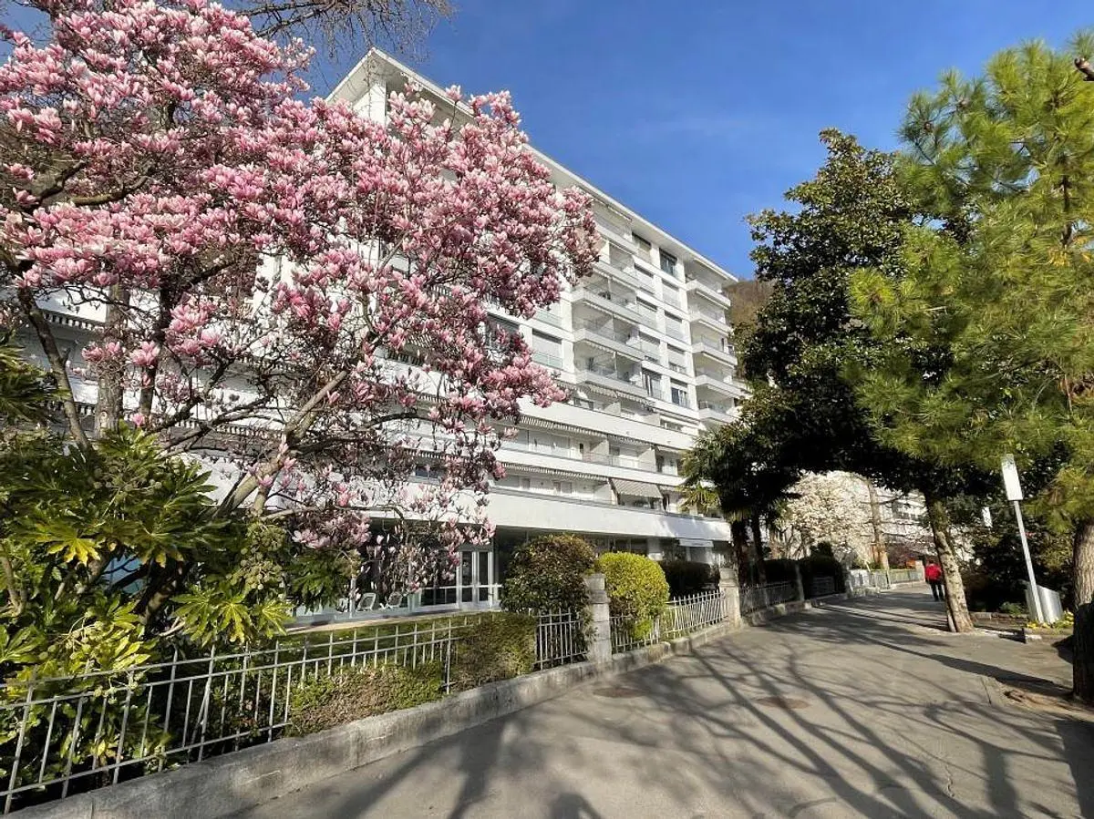 Küche; küchengeräte, holzboden, tageslicht, moderner stil