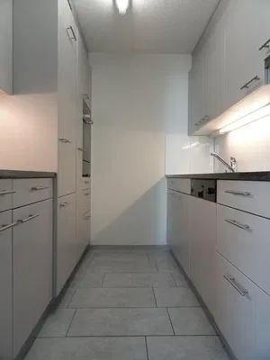 Kuchyňa; kuchynské spotrebiče, drevená podlaha, prirodzené svetlo, moderný štýl