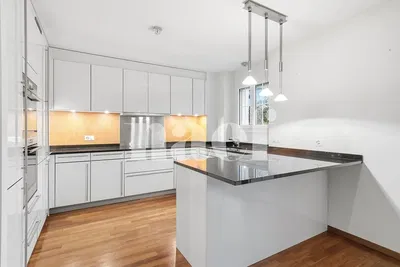 Cucina; elettrodomestici, pavimento in legno, luce naturale, stile moderno