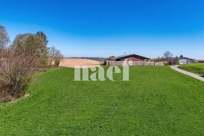 مطبخ; أجهزة المطبخ, أرضية خشبية, ضوء طبيعي, أسلوب عصري