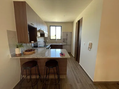 Cuisine; électroménager, parquet, lumière naturelle, style moderne