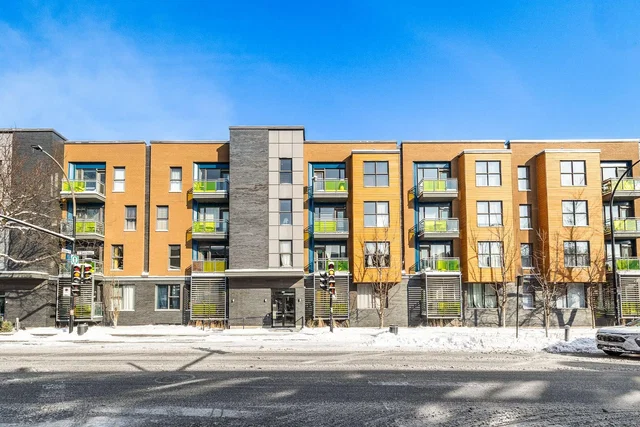 Kuhinja; kuhinjski aparati, drveni pod, prirodno svjetlo, moderni stil