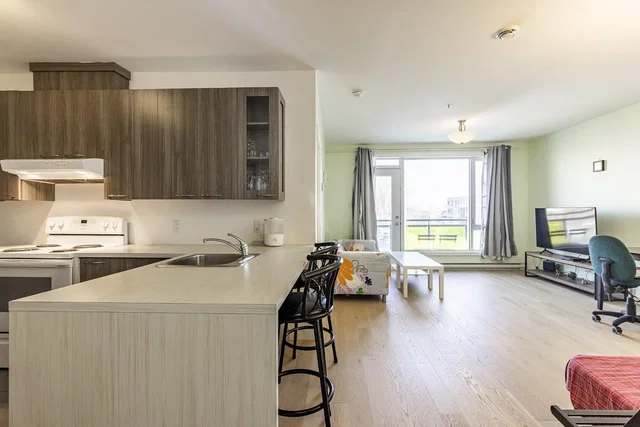 Kuhinja; kuhinjski aparati, drveni pod, prirodno svjetlo, moderni stil