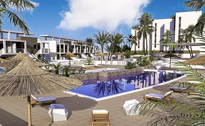 Κουζίνα; συσκευές κουζίνας, ξύλινο πάτωμα, φυσικό φως, μοντέρνο στυλ