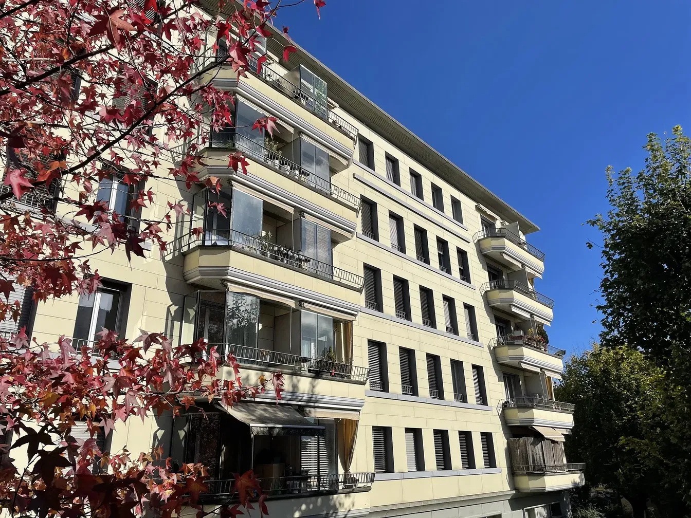 Küche; küchengeräte, holzboden, tageslicht, moderner stil