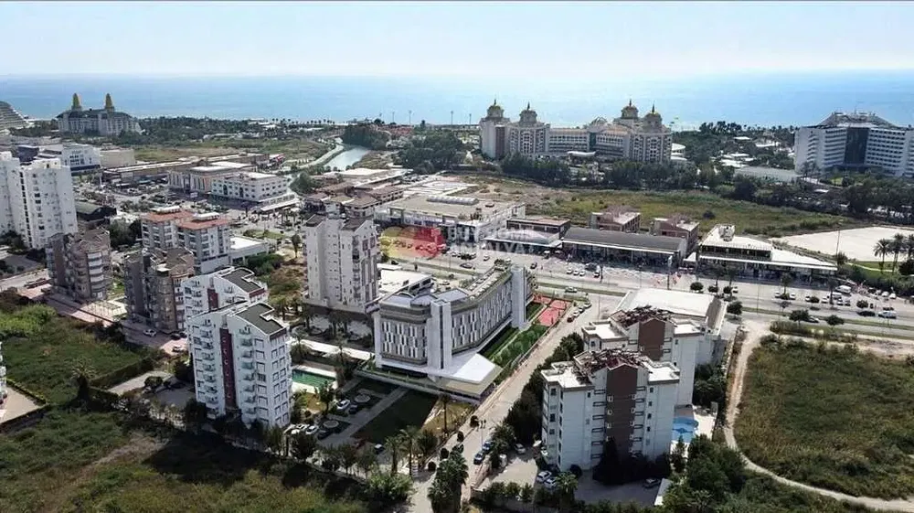 Kitchen; kitchen appliances, wood floor, natural light, modern style