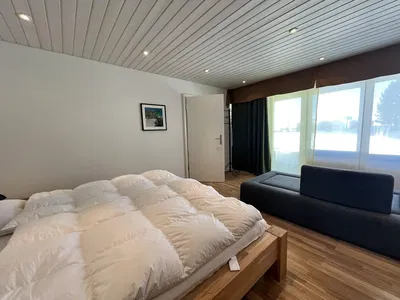 Kitchen; kitchen appliances, wood floor, natural light, modern style