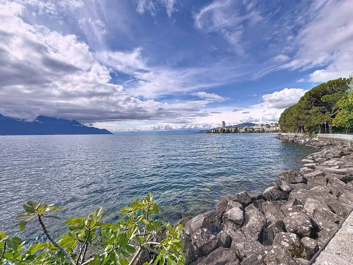 Кухиња; кухињски апарати, дрвени под, природно светло, модерни стил