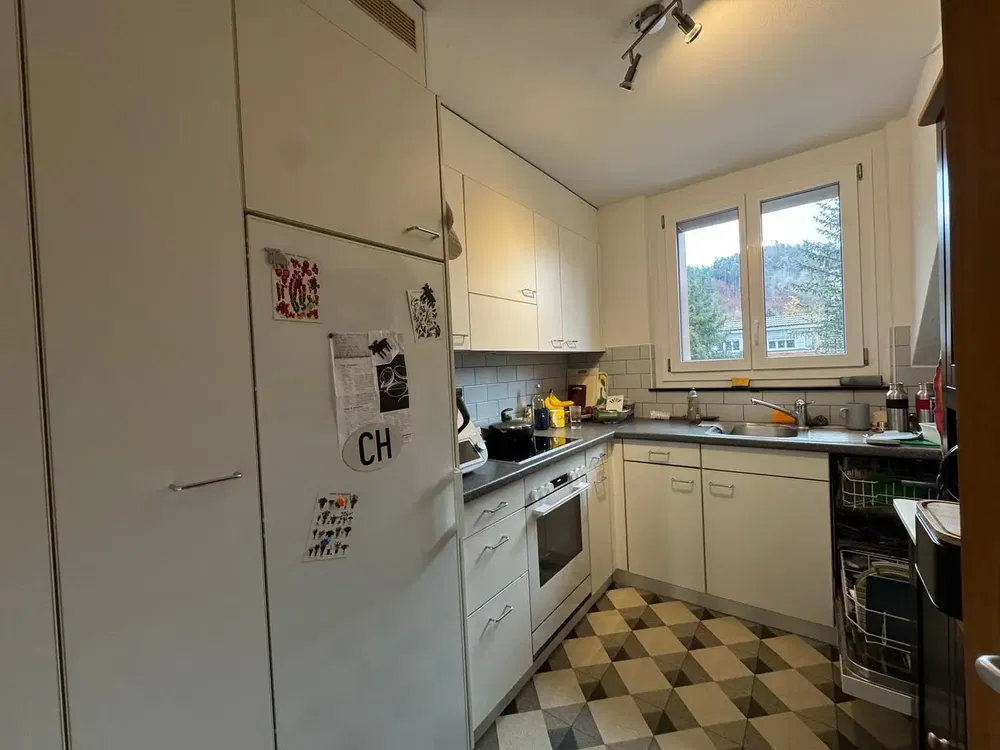 Kitchen; kitchen appliances, wood floor, natural light, modern style