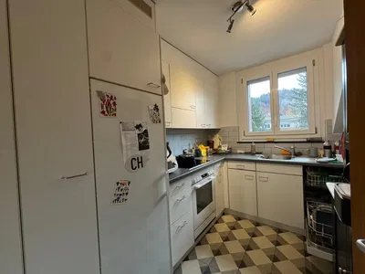 Kitchen; kitchen appliances, wood floor, natural light, modern style