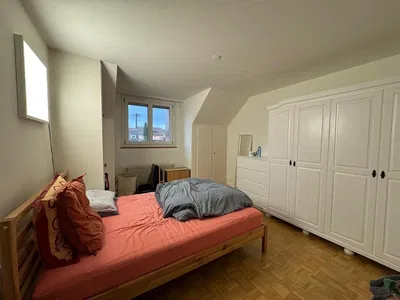 Kitchen; kitchen appliances, wood floor, natural light, modern style