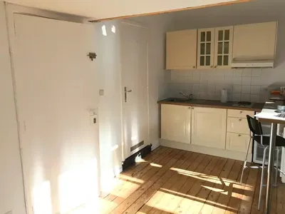 Kuchyně; kuchyňské spotřebiče, dřevěná podlaha, přirozené světlo, moderní styl