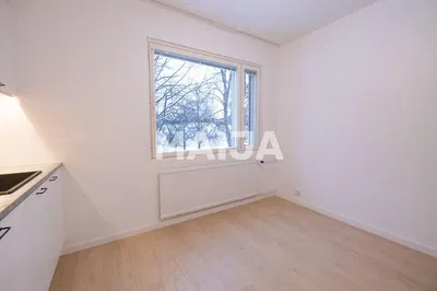 Kuchyně; kuchyňské spotřebiče, dřevěná podlaha, přirozené světlo, moderní styl