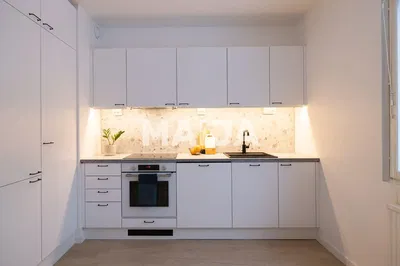 Kuchyně; kuchyňské spotřebiče, dřevěná podlaha, přirozené světlo, moderní styl