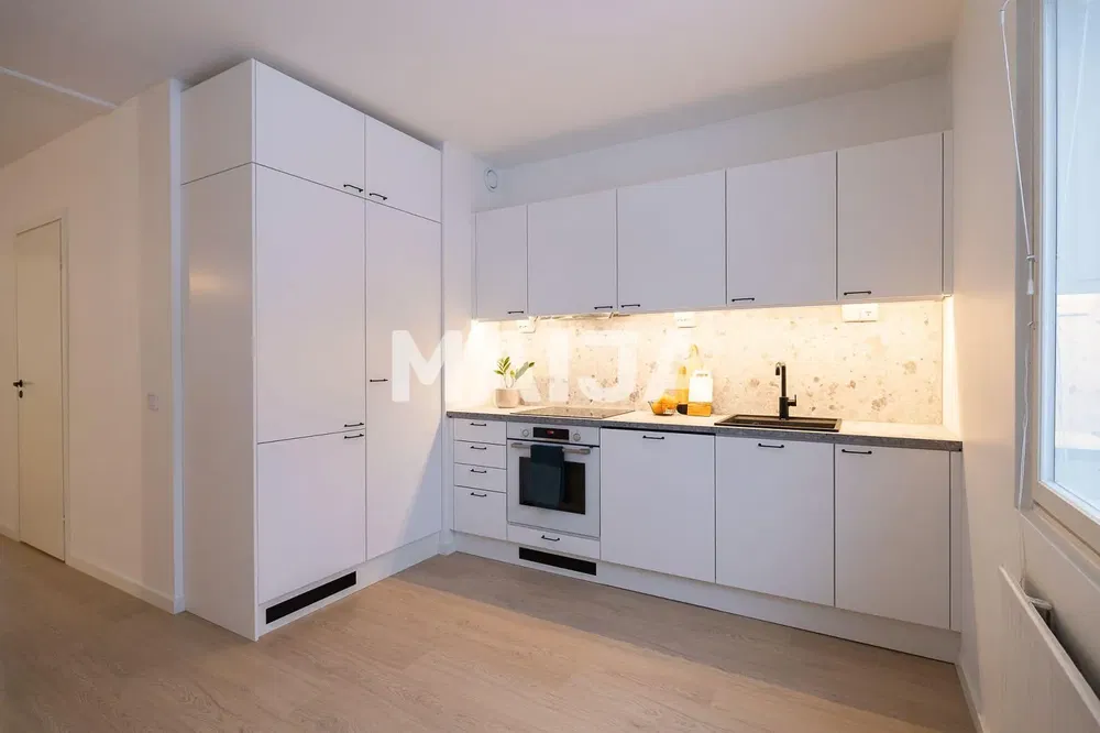 Kuchyně; kuchyňské spotřebiče, dřevěná podlaha, přirozené světlo, moderní styl