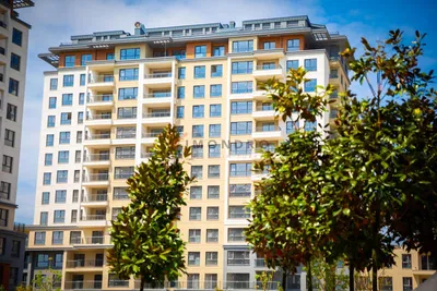 Kuchnia; sprzęt kuchenny, podłoga drewniana, światło dzienne, styl nowoczesny