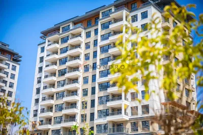 Kuchnia; sprzęt kuchenny, podłoga drewniana, światło dzienne, styl nowoczesny