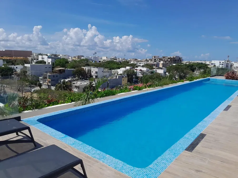 Cuisine; électroménager, parquet, lumière naturelle, style moderne