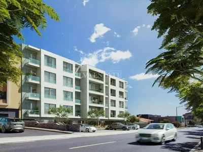 Küche; küchengeräte, holzboden, tageslicht, moderner stil