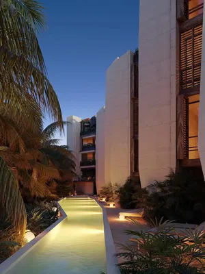 Cuisine; électroménager, parquet, lumière naturelle, style moderne